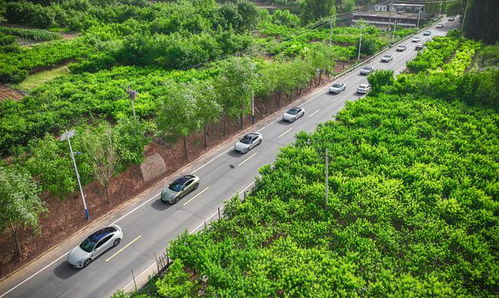 出海征途 尊重當(dāng)?shù)厥袌鲋刃蚴侵袊嚻蟮谋匦拚n